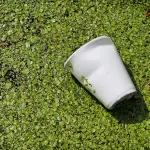 Prodotti biodegradabili e biocompostabili come aiuto all’ambiente